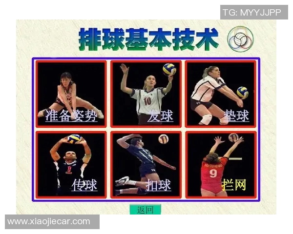 西安排球队阵地战解析：战术布局与球员配合的深度剖析